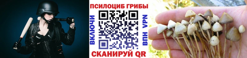 Псилоцибиновые грибы GOLDEN TEACHER  Купить закладки  Малмыж 